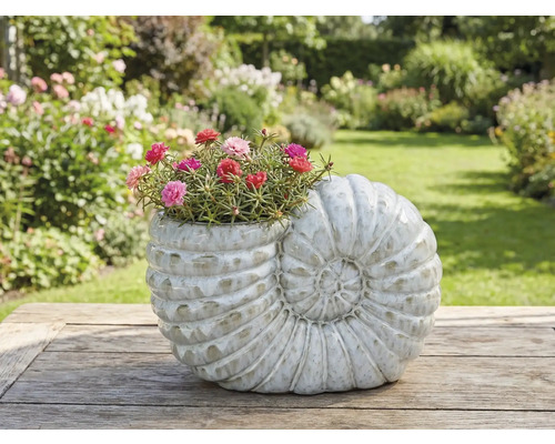 Kvetináč v tvare šneka s kvitnúcimi kvetmi na drevenom stole v záhrade