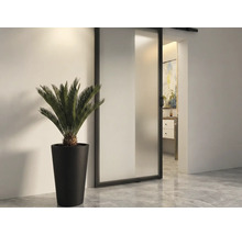 Pohľad na izbu s posuvnými dverami, rastlinou v kvetináči a výhľadom do kúpeľne