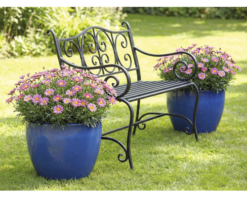 Záhradná lavička s kvetmi v kvetináčoch na trávniku