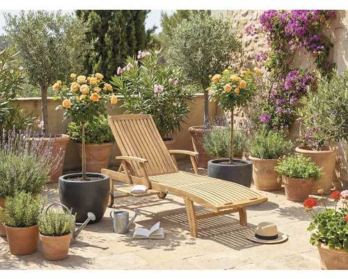 Záhradná scéna s dreveným lehátkom, rastlinami v kvetináčoch a dekoratívnymi prvkami pre vonkajšie použitie