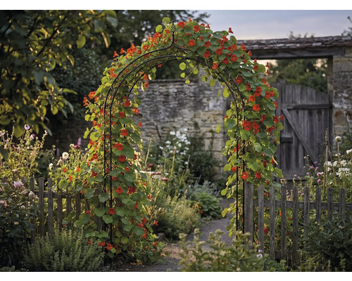Pohľad do záhrady s ružovou bránou, porastenou kapucínkou väčšou