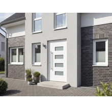 Fasáda domu s vchodovými dverami, oknami a rastlinami v kvetináčoch