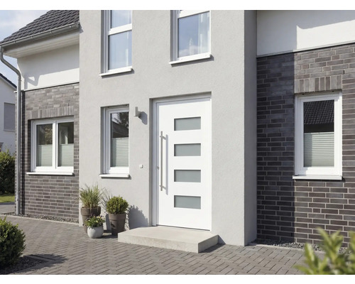 Fasáda domu s vchodovými dverami, oknami a rastlinami v kvetináčoch