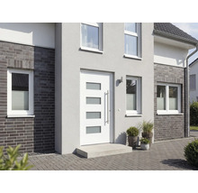 Fasáda domu s vchodovými dverami a oknami