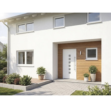 Fasáda domu s vchodovými dverami, oknami a rastlinami