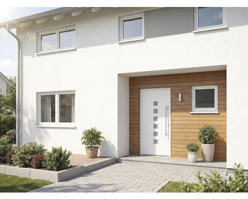 Fasáda domu s vchodovými dverami, oknami a rastlinami