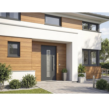 Exteriér moderného domu s vchodovými dverami, oknami a dreveným obkladom