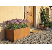 Vonkajšia fotografia kovového kvetináča pred vchodovými dverami s dlažobnými kockami.