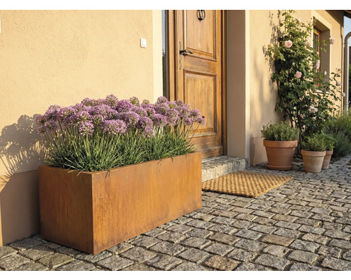 Vonkajšia fotografia kovového kvetináča pred vchodovými dverami s dlažobnými kockami.