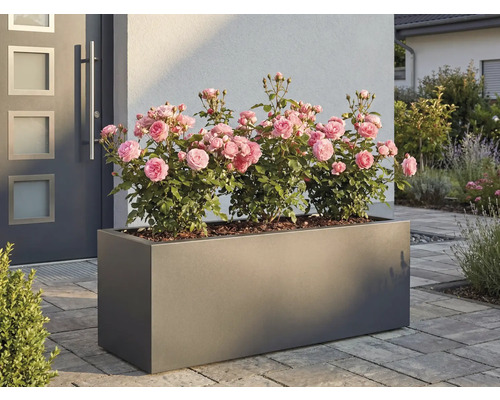 Obdĺžnikový kvetináč s ružami pred domom