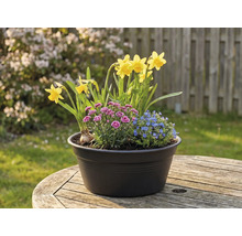 Kvetinové aranžmán s narcismi, klinčekmi a nezábudkami v kvetináči na drevenom stole