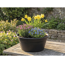 Kvetinové aranžmán s narcismi, modrými a ružovými kvetmi v kvetináči na stole vonku