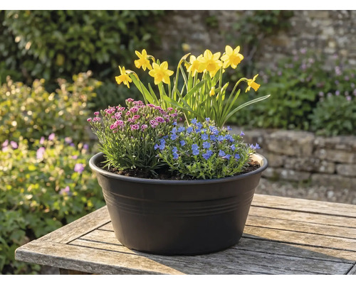 Kvetinové aranžmán s narcismi, modrými a ružovými kvetmi v kvetináči na stole vonku