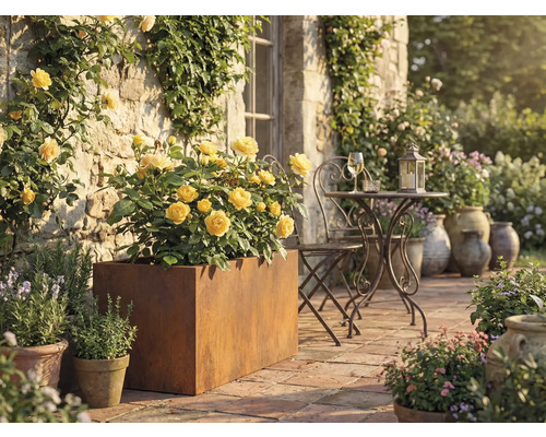 Terasa so žltými ružami v kovovom kvetináči, kovový stôl a stolička