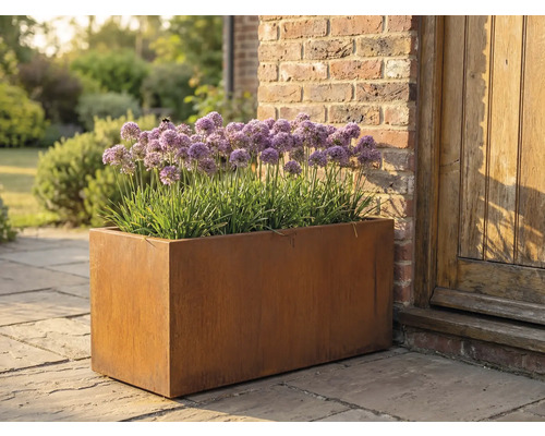 Obdĺžnikový kovový kvetináč s rastlinami Allium v záhrade.