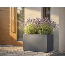 Obdĺžnikový kovový kvetináč s levanduľou pred vchodovými dverami