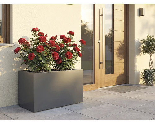 Obdĺžnikový kvetináč s červenými ružami pred domom