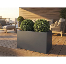 Obdĺžnikový kvetináč s dvoma guľami krušpánu na terase