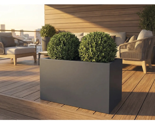 Obdĺžnikový kvetináč s dvoma guľami krušpánu na terase