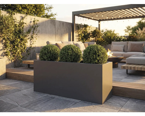 Vonkajší záber obdĺžnikového tmavého kvetináča s tromi guľovitými rastlinami na kamennej terase