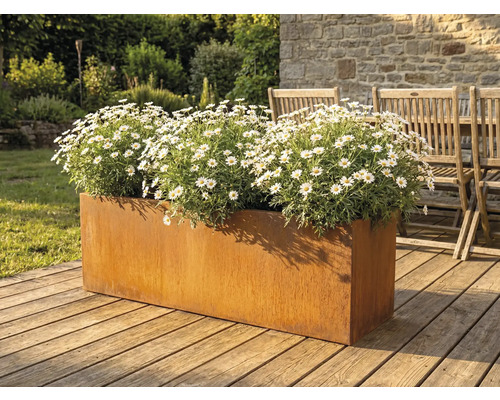 Kovový kvetináč s margarétkami na drevenej terase