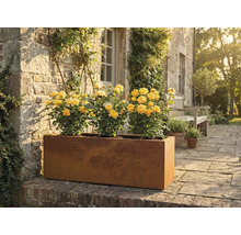 Obdĺžnikový kovový kvetináč so žltými ružami v záhrade