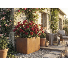 Okrasná záhrada s ružami v kvetináčoch a posedením