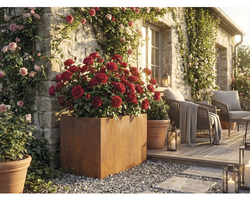 Okrasná záhrada s ružami v kvetináčoch a posedením