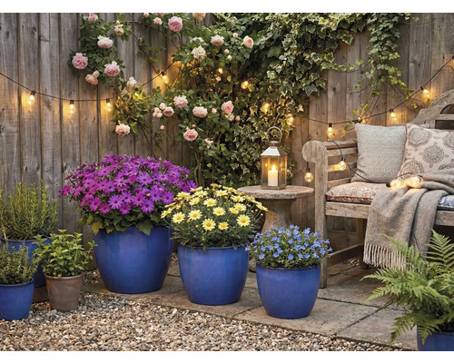 Dekoratívna záhrada so záhradným nábytkom, rastlinami a osvetlením