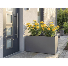 Sivý kvetináč so žltými ružami pred vchodovými dverami