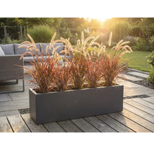 Dekoratívny kvetináč s okrasnými trávami na terase