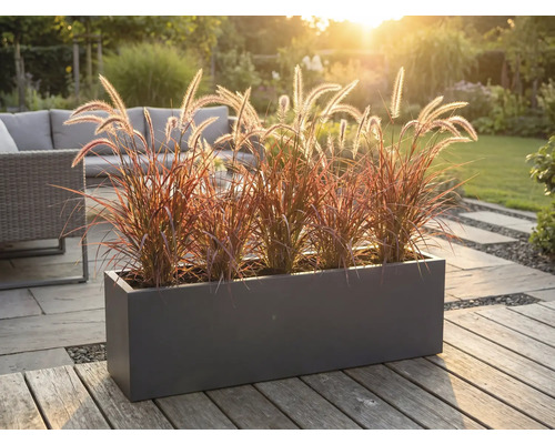 Dekoratívny kvetináč s okrasnými trávami na terase