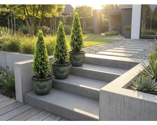 Tri črepníkové rastliny na betónových schodoch v modernej záhrade.