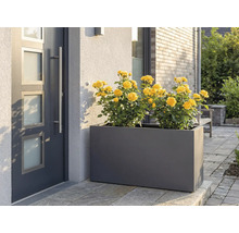 Kvetináč so žltými ružami pred vchodovými dverami.