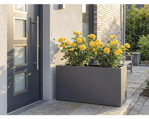 Kvetináč so žltými ružami pred vchodovými dverami.