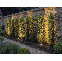 Záhrada s kamennou stenou, rastlinami a vonkajším osvetlením