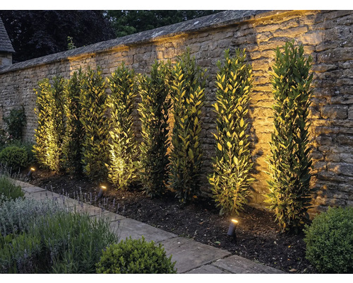 Záhrada s kamennou stenou, rastlinami a vonkajším osvetlením