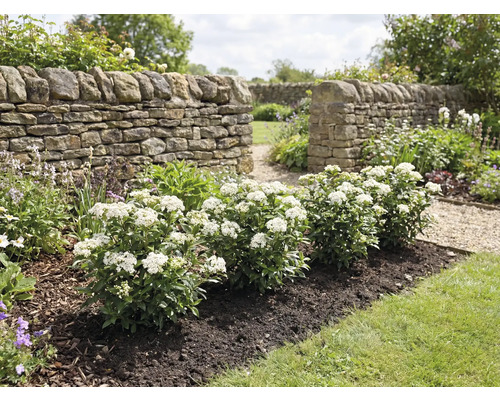 Záhrada s kamenným múrom a kvitnúcimi kríkmi