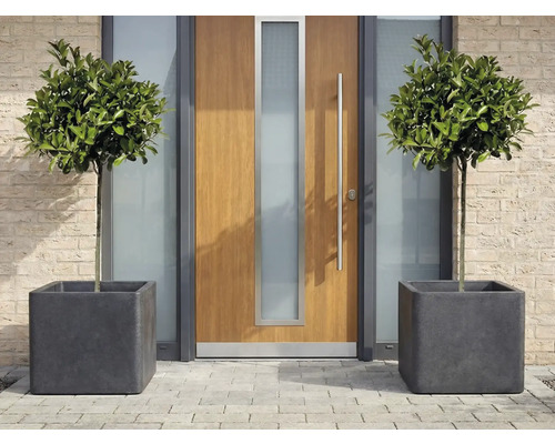 Okrasné listnaté stromy v štvorcových kvetináčoch pred vchodovými dverami