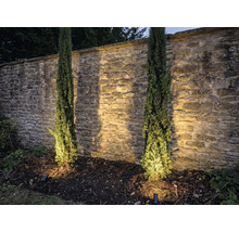 Scéna s dvoma stĺpovitými cypruštekmi pred kamenným múrom a záhradným osvetlením