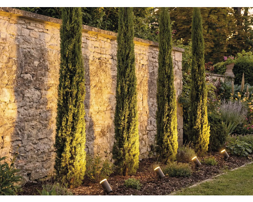 Záhrada s talianskymi cyprusmi a záhradnými reflektormi na osvetlenie kamenného múru