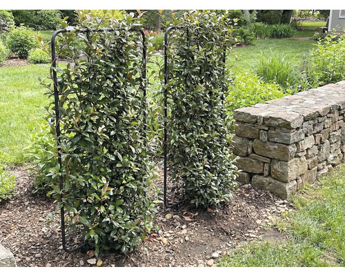 Dva kovové mrežové rámy pokryté lístím stoja v záhrade.