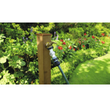 Záhradná scéna s vodovodným kohútikom a záhradnou hadicou na drevenom stĺpiku