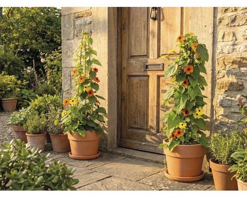 Kvety v kvetináčoch pred dverami domu