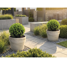 Upravená záhrada s kvetináčmi a chodníkovými dlaždicami