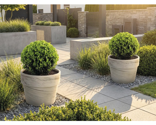 Upravená záhrada s kvetináčmi a chodníkovými dlaždicami