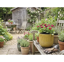 Záhradná scéna s dreveným záhradným domčekom, záhradnou stolovou súpravou a vysadenými kvetináčmi na drevenej lavici