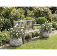 Drevená lavička v záhrade s kvetmi v ozdobných kvetináčoch.