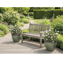 Záhradná krajina s drevenými lavičkami a margarétkami v kvetináčoch.