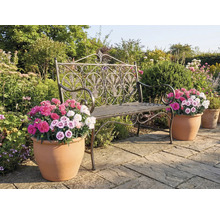 Záhradná scéna s dekoratívnou kovovou lavičkou a kvetináčmi s farebnými kvetmi